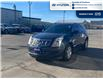 2014 Cadillac SRX Luxury (Stk: 4B048B) in Chatham - Image 1 of 17