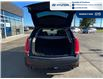 2014 Cadillac SRX Luxury (Stk: 4B048B) in Chatham - Image 5 of 17
