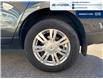 2014 Cadillac SRX Luxury (Stk: 4B048B) in Chatham - Image 6 of 17