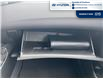 2015 Hyundai Elantra Sport Appearance (Stk: DS115A) in Chatham - Image 12 of 15