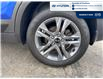 2021 Kia Seltos EX (Stk: S127A) in Chatham - Image 7 of 20