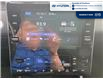 2022 Hyundai Tucson Hybrid Luxury (Stk: 5B014A) in Chatham - Image 17 of 20