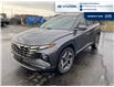 2022 Hyundai Tucson Hybrid Ultimate (Stk: S214A) in Chatham - Image 1 of 18
