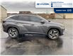 2022 Hyundai Tucson Hybrid Ultimate (Stk: S214A) in Chatham - Image 4 of 18