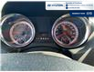 2014 Dodge Grand Caravan SE/SXT (Stk: S161A) in Chatham - Image 17 of 18