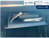 2020 Hyundai Palisade ESSENTIAL (Stk: S090A) in Chatham - Image 14 of 20