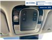 2020 Hyundai Palisade ESSENTIAL (Stk: S090A) in Chatham - Image 15 of 20
