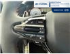 2025 Hyundai Elantra N Line Ultimate (Stk: S270) in Chatham - Image 18 of 30