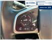 2019 Honda Civic EX (Stk: S286A) in Chatham - Image 14 of 26