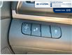 2019 Hyundai Elantra Preferred (Stk: S184A) in Chatham - Image 11 of 21