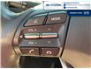 2019 Hyundai Elantra Preferred (Stk: S184A) in Chatham - Image 14 of 21