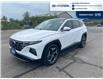 2023 Hyundai Tucson Hybrid Luxury (Stk: S228A) in Chatham - Image 1 of 20
