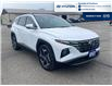 2023 Hyundai Tucson Hybrid Luxury (Stk: S228A) in Chatham - Image 3 of 20
