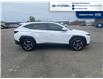 2023 Hyundai Tucson Hybrid Luxury (Stk: S228A) in Chatham - Image 4 of 20