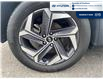 2023 Hyundai Tucson Hybrid Luxury (Stk: S228A) in Chatham - Image 5 of 20