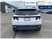 2023 Hyundai Tucson Hybrid Luxury (Stk: S228A) in Chatham - Image 6 of 20