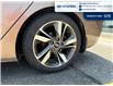 2015 Hyundai Elantra Limited (Stk: S169A) in Chatham - Image 10 of 23