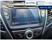 2015 Hyundai Elantra Limited (Stk: S169A) in Chatham - Image 16 of 23