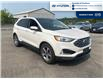 2019 Ford Edge SEL (Stk: S034B) in Chatham - Image 3 of 20