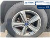 2019 Ford Edge SEL (Stk: S034B) in Chatham - Image 5 of 20