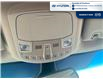 2019 Ford Edge SEL (Stk: S034B) in Chatham - Image 15 of 20