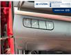 2019 Hyundai Elantra Preferred (Stk: 5B036A) in Chatham - Image 10 of 20