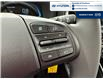 2025 Hyundai Venue ESSENTIAL (Stk: S346) in Chatham - Image 14 of 23