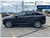 2025 Hyundai Tucson Preferred (Stk: S381) in Chatham - Image 7 of 29