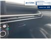 2025 Hyundai Tucson Preferred (Stk: S381) in Chatham - Image 23 of 29