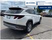 2025 Hyundai Tucson Preferred (Stk: DS382) in Chatham - Image 6 of 27