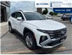 2025 Hyundai Tucson Preferred (Stk: DS382) in Chatham - Image 8 of 27