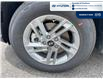 2025 Hyundai Tucson Preferred (Stk: DS382) in Chatham - Image 10 of 27