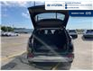 2026 Hyundai Tucson Preferred w/Trend Package (Stk: T036) in Chatham - Image 5 of 28