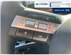 2026 Hyundai Tucson Preferred w/Trend Package (Stk: T036) in Chatham - Image 15 of 28