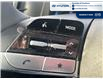 2025 Hyundai Elantra Preferred (Stk: S433) in Chatham - Image 14 of 27