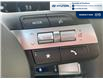 2025 Hyundai Tucson Hybrid Ultimate (Stk: DT050A) in Chatham - Image 14 of 27