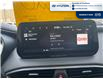2023 Hyundai Santa Fe Ultimate Calligraphy (Stk: 5B049A) in Chatham - Image 19 of 29