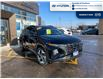 2022 Hyundai Tucson Hybrid Ultimate (Stk: T046A) in Chatham - Image 9 of 29