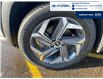 2022 Hyundai Tucson Hybrid Ultimate (Stk: T046A) in Chatham - Image 11 of 29