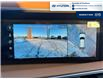 2026 Hyundai Palisade Ultimate Calligraphy (Stk: T096) in Chatham - Image 25 of 38