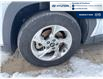 2024 Hyundai Tucson Preferred (Stk: 5B055A) in Chatham - Image 10 of 28