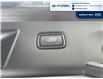 2024 Hyundai Tucson Hybrid Luxury (Stk: 5B054A) in Chatham - Image 6 of 30 2024 Hyundai Tucson Hybrid Luxury (Stk: 5B054A) in Chatham - Image 6 of 30