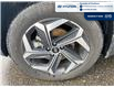 2024 Hyundai Tucson Hybrid Luxury (Stk: 5B054A) in Chatham - Image 11 of 30 2024 Hyundai Tucson Hybrid Luxury (Stk: 5B054A) in Chatham - Image 11 of 30