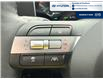 2026 Hyundai Tucson Hybrid Ultimate (Stk: T099) in Chatham - Image 31 of 47
