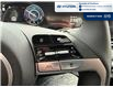2026 Hyundai Elantra HEV Luxury (Stk: T109) in Chatham - Image 25 of 39