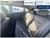 2026 Hyundai Kona 2.0L Preferred w/Trend Package (Stk: T104) in Chatham - Image 24 of 24