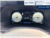 2024 Hyundai Palisade Urban 7 Passenger (Stk: 5B060A) in Chatham - Image 21 of 24