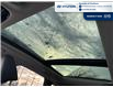 2026 Hyundai Tucson Hybrid Ultimate (Stk: T091) in Chatham - Image 25 of 26
