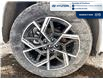 2026 Hyundai Tucson Hybrid N-Line (Stk: T116) in Chatham - Image 4 of 24