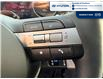 2026 Hyundai Tucson Hybrid Ultimate (Stk: T152) in Chatham - Image 14 of 25